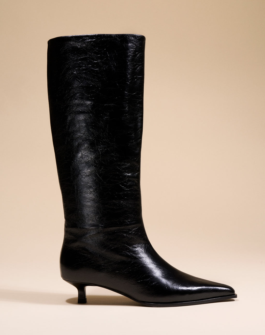 BOTTES A PETIT TALON ET BOUT POINTU VIVIENNE CRINKLED